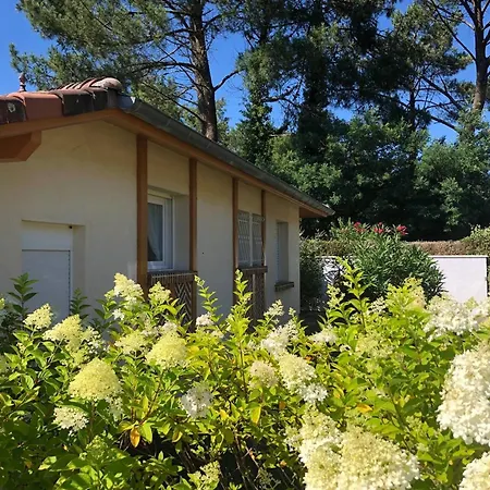 Maison Avec Piscine Privee - 8 Pers. - Fr-1-878-8 Moliets-et-Maa